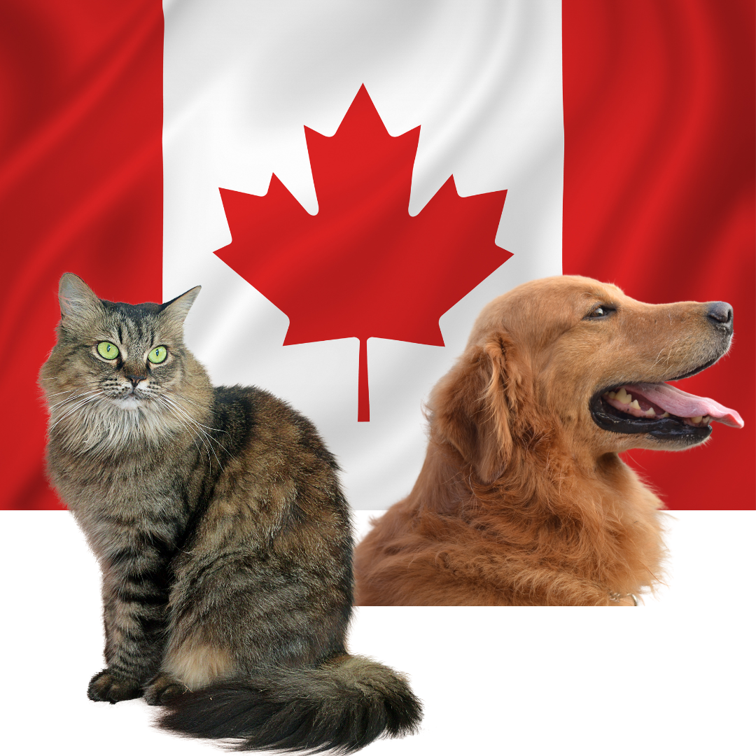 Picture for category Canadian Made